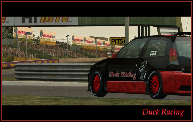 XFR Series, DuckRacing