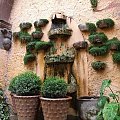 San Miguel de Allende (Guanajuato, México)