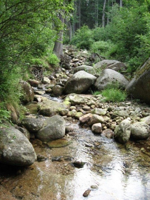#kaskada #las #przyroda #strumień #widoki #woda #natura
