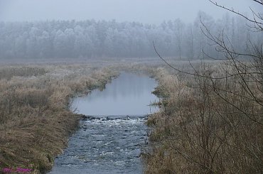 Dolina rzeczki Święcek #DolinaRzeczkiŚwięcek #Młynno #Mazury