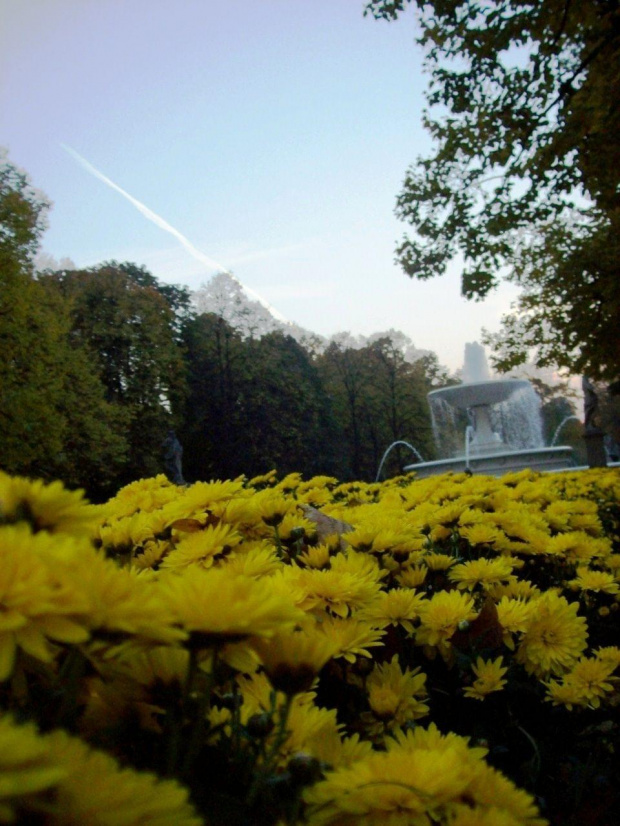 Park. Za grobem nieznanego żołnierza