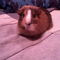 Ruda :)
