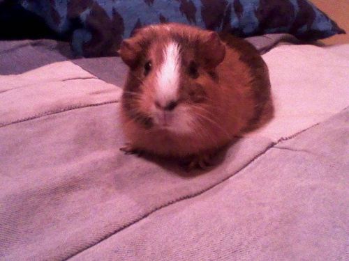 Ruda :)