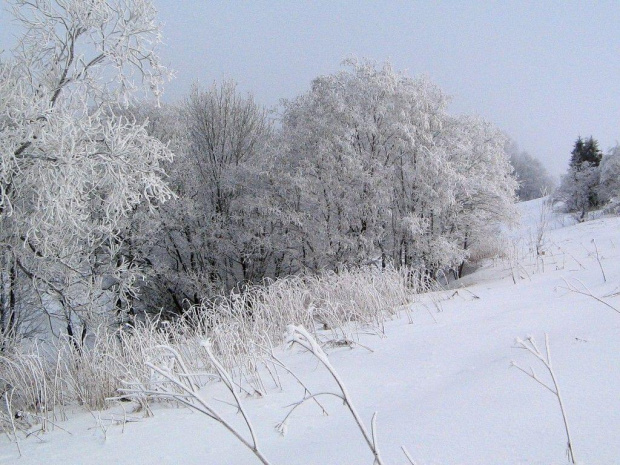 Zdjęcia Bieszczad zimą. Grudzień 2007 #GóryZimaŚniegMgła