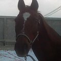 31.12.2007