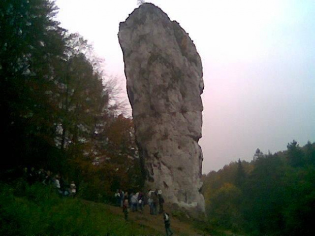 Maczuga Herkulesa. Zdjęcie z komórki nokia 6020. #Jura #maczuga #Herkulesa #wycieczka