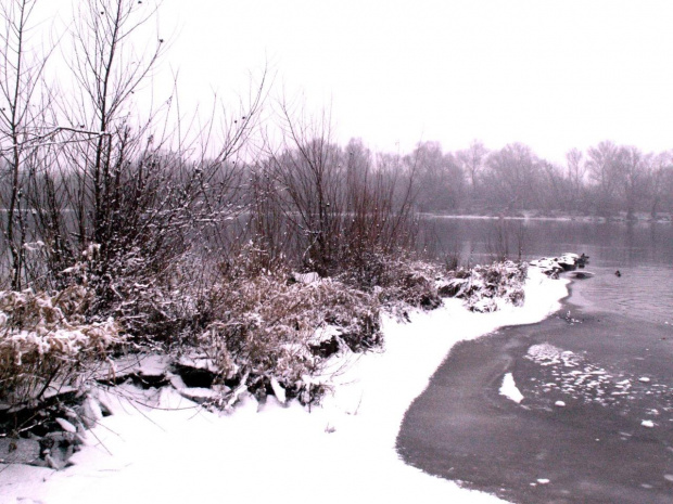 odrobina zimowego krajobrazu nad rzeka Narew ,,,, #rzeka