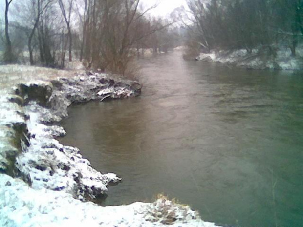 Bóbr luty 2007 #Przyroda #zima #woda